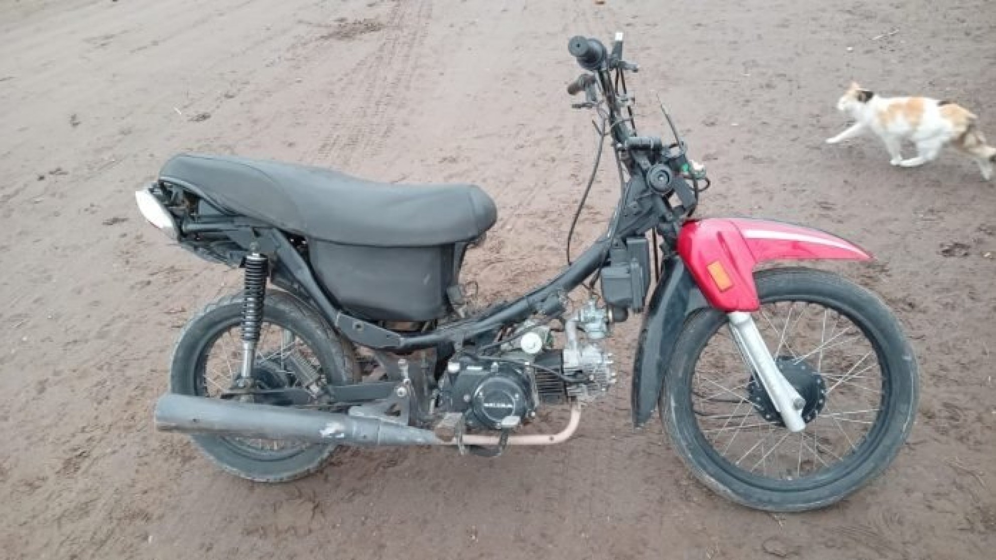Detuvieron a dos jóvenes por el robo de motos en Mendoza